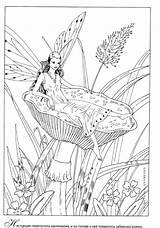Coloring Fairy Mystical Adult Mythical Myth Legend Pages Stress Anti Forest раскраски взрослых для Pixie Printable Coloriage sketch template