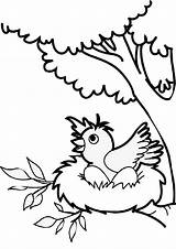 Bird Coloring Pages Color Nest Birds Tree Preschool Easy Print Draw Printable Eggs Topcoloringpages Cute Pdf Simple sketch template