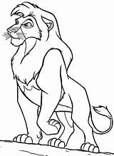 Lion Kovu King Coloring Pages Color Modes Wonderful Lions Getdrawings Getcolorings sketch template