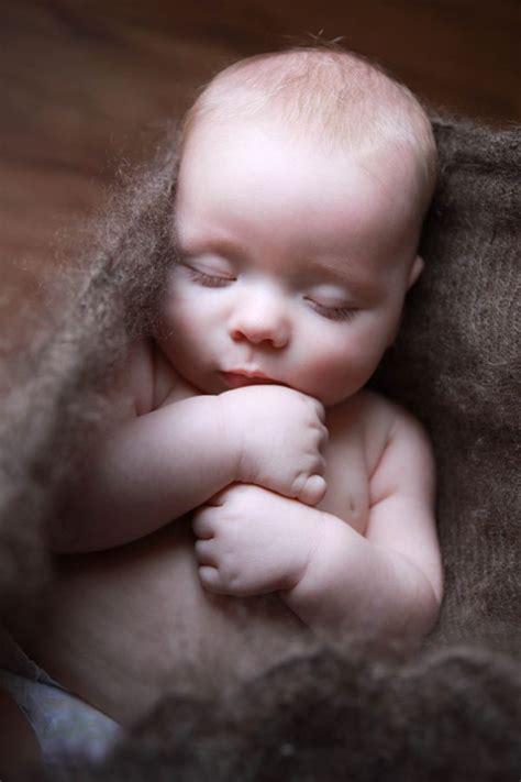 fluffy dreams  svetlana kvashina  px beautiful babies cute kids