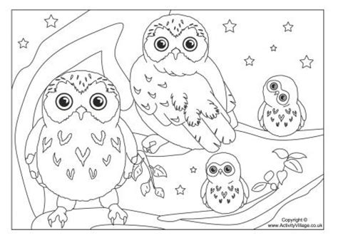 baby owl drawing  getdrawings
