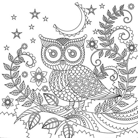 fall owl pages coloring pages