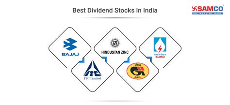 dividend stocks  buy  india dividend paying stock