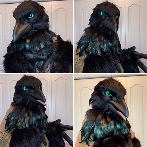 realistic crow fursuit maker owner atcryptocritter  instagram furry art fursuit furry