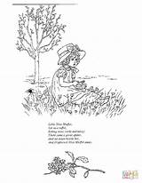 Coloring Swamp Muffet Rhymes Colorear Supercoloring Dibujos Designlooter sketch template