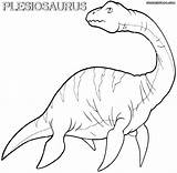 Plesiosaurus Tylosaurus sketch template