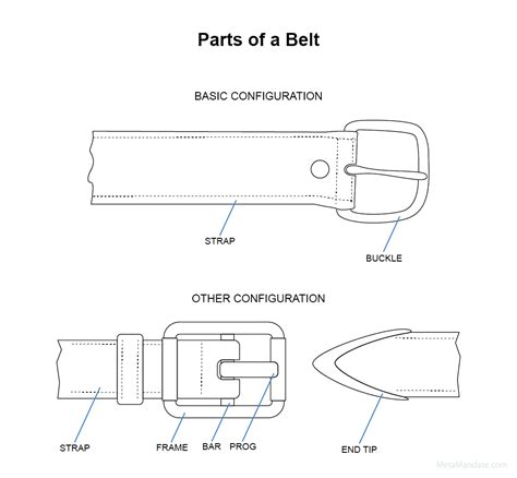 parts   belt  names  functions graphic