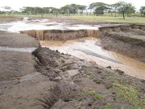 general advice  cover crops  soil erosion control  tanzania