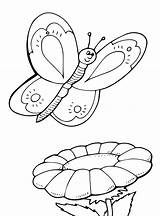 Vlinders Schmetterlinge Kleurplaten Butterflies Malvorlage Ausmalbild Stemmen Stimmen Vlinder sketch template