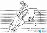 Bull Rodeo Bucking Webstockreview Drukuj sketch template