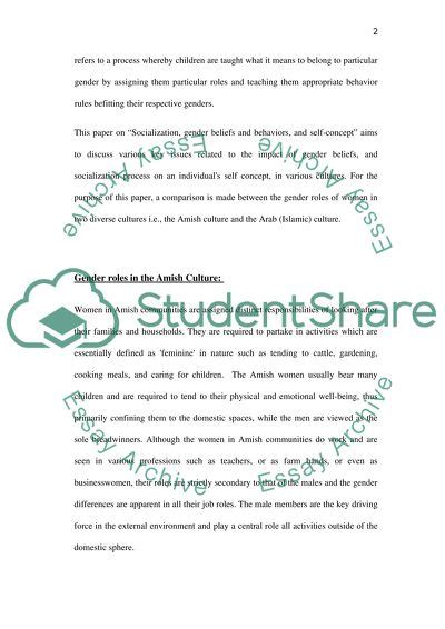 school essay  title  concept paper