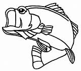 Bass Coloring Pages Fish Georgia Largemouth Color Mouth Large Drawing Saltwater Printable Print Getdrawings Getcolorings Place Search sketch template