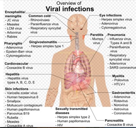 viral infections physiopedia