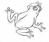 Frog Coloring Drawing Pages Drawings Life Cycle Outline Color Frogs Line Cliparts Print Animal Draw Clipart Toad Sketch Sketches Library sketch template