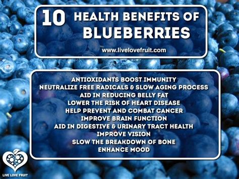 all about blueberries 12 delicious recipes todayseverymom health