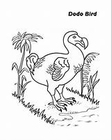 Dodo Bird Coloring Pages Finding Food Drawing Netart Template Print Getdrawings Getcolorings Sketch Color sketch template