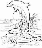 Lumba Mewarnai Gambar Delfin Dolphins Dolphin Pemandangan Erwachsene Dover Alam Natureza Malvorlagen Sketsa Temonggo Ikan Contoh Hewan Ausmalbild Delphin Jumping sketch template