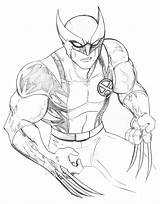 Wolverine Colorir Desenhos sketch template