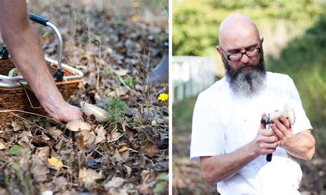 Foraging For Edible Wild Mushrooms With Chef Chris Erasmus Of Foliage