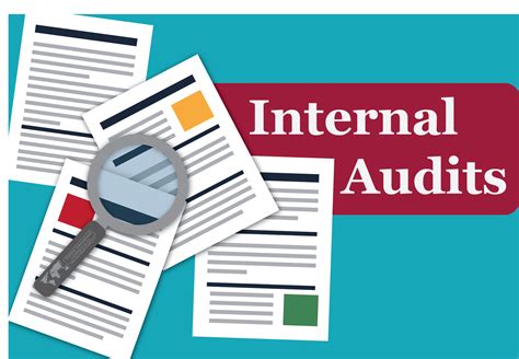 internal audits emma international