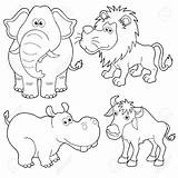 Animals Outline Wild Drawing Cartoon Animal Zoo Outlines Easy Cartoons Illustration Drawings Sketches Jungle Coloring Mammals Vector Getdrawings Sketch sketch template