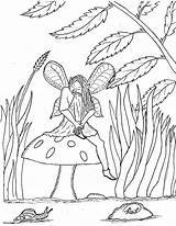 Mushroom Fairy Sitting Coloring Pages Robin Great Fairies sketch template