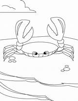 Crabe Caranguejo Mangue Colorear Desenho Krabbe Ausmalen Crabs Caracoles Kolorowanki Krab Caranguejos Caracol Cangrejo sketch template