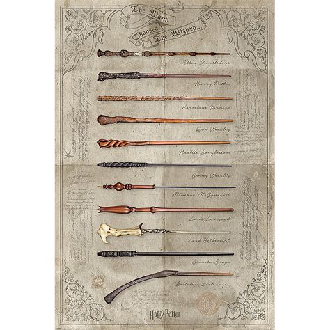 harry potter  poster print  wand chooses  wizard