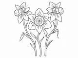 Kwiaty Kolorowanka Wiosenne Wiosna Krokusy żonkile Krokus Tulipany Kolorowanki Druku Dzieci Darmowe Malowanki sketch template