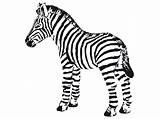 Zebra Coloring Baby Pages Cute Zebras Drawing Printable Clipart Cliparts Cartoon Head Print Getcolorings Kid Color Zoo 2264 Clipartmag Getdrawings sketch template