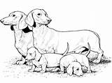 Coloring Pages Dog Kids Dogs sketch template