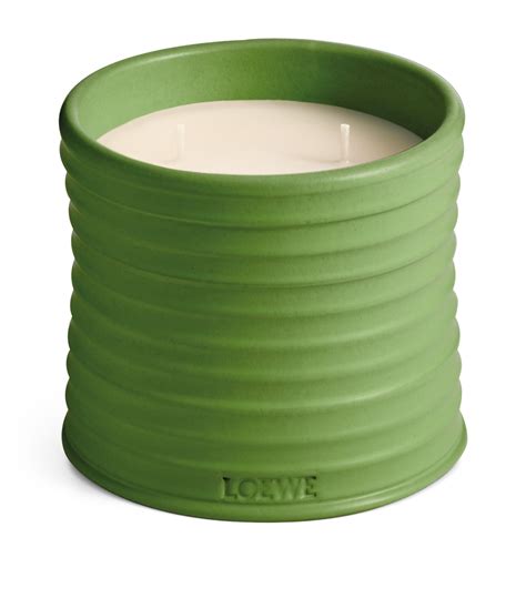 loewe medium luscious pea candle 610g harrods us