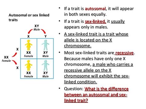 Biology Genetics Ii 03 05 2013