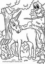 Einhorn Ausmalbilder Malvorlage Wald Ausmalbild Malvorlagen Ausmalen Ausdrucken Magischen Theodor Einhoerner sketch template