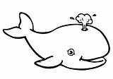Whale Coloring Outline Pages Blue Beluga Clipart Killer Cartoon Kids Shark Color Drawing Smiling Line Whales Printable Orca Pencil Humpback sketch template