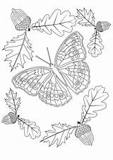 Automne Papillon Insetos Insectos Adulte Butterflies Insectes Adultos Insetti Adulti Mandalas Impressionnant Difficiles Papillons Insects Moldes Justcolor sketch template