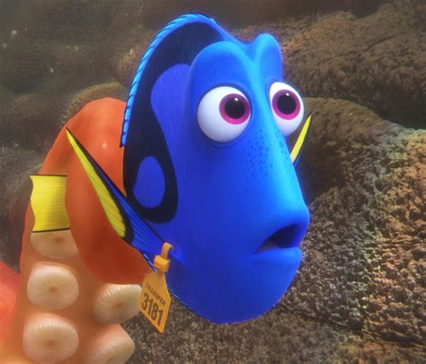 review finding dory  missing nemo magic kgwcom
