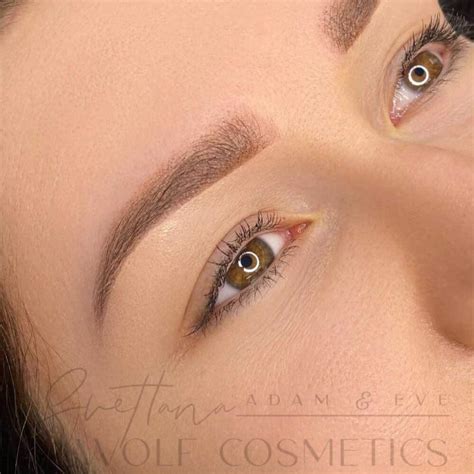 powder brows   ultimate guide cost healing aftercare