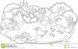 Coloring Ponds Pages Pond Contents sketch template