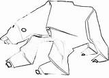 Polar Grote Ijsbeer Joostlangeveldorigami sketch template