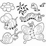 Coloring Surfnetkids Bug Previous Animals sketch template
