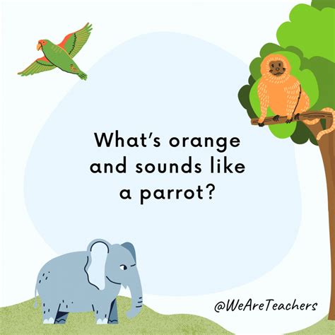 hoot larious animal jokes  kids