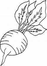 Radish Rzodkiewka Kolorowanka Sayur Sayuran Colorare Vegetables Radis Disegni Druku Mewarna Fastseoguru Vector Coloringall Schede Mari Pelbagai Automatically Wydrukuj Malowankę sketch template