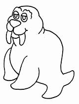 Walrus Coloring Pages Animals Printable Kids Cliparts Clipart Print Easy Drawing Clip Easily Coloringbay Book Popular Advertisement Favorites Coloringpagebook Add sketch template