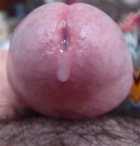 I9509 S Gallery Precum To Flowing Close Up