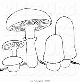 Clip Mushrooms Coloring Mushroom Picsburg Drawing Line Getdrawings sketch template
