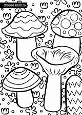 Coloring Mushrooms Värityskuva Optimimmi Täällä Quality  High sketch template