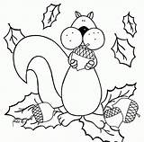 Coloring Squirrel Preschool Pages Popular Coloringhome sketch template