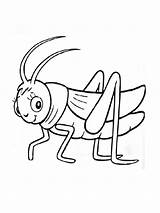 Grasshopper Coloring Pages Kids Printable Fun sketch template