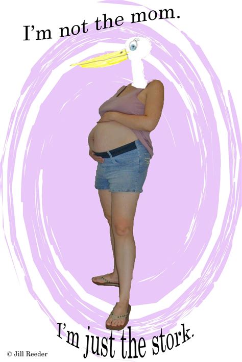 mormon surrogate i m not the mom i m just the stork